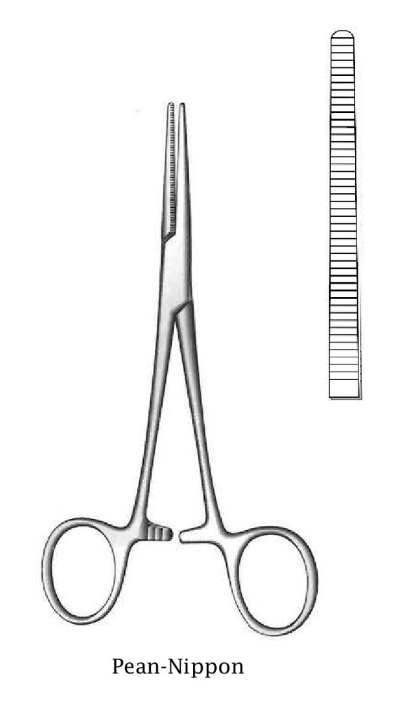 Pinza para arteria Pean-Nippon, recta - longitud = 18.5 cm / 7-3/4"