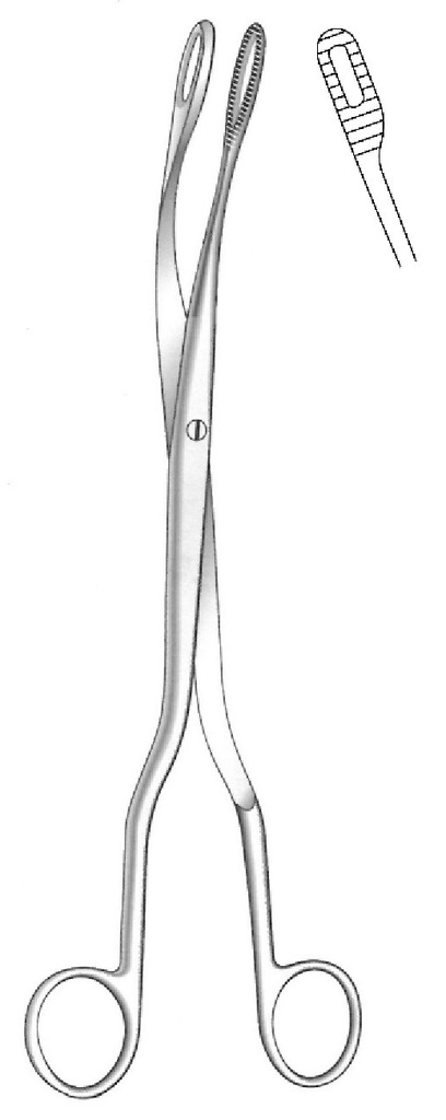 Pinza para placenta, figura 1