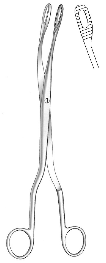 Pinza para placenta, figura 2