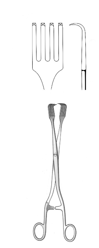 Pratt Tenacle clamp, 4: 4 teeth