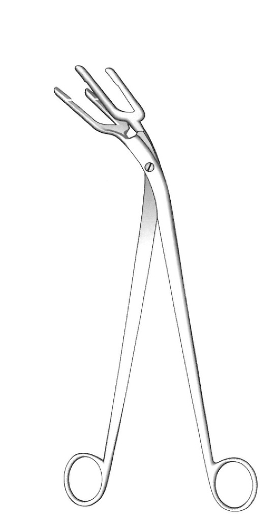 Pinza para esterilización Pye-Smith Harrison - longitud = 30 cm / 12"