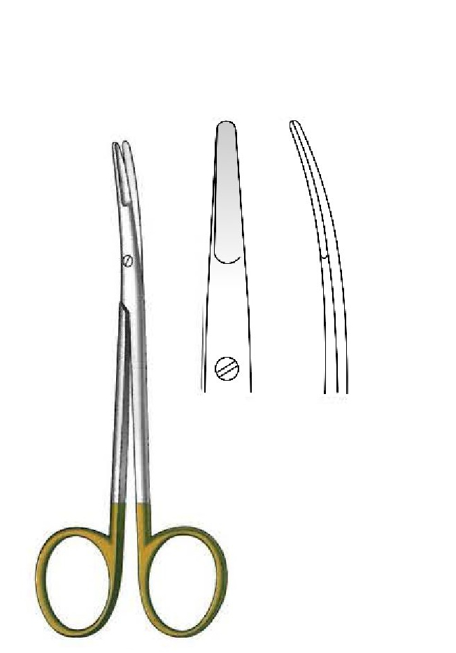 Ragnell Kilner dissection scissors, curve