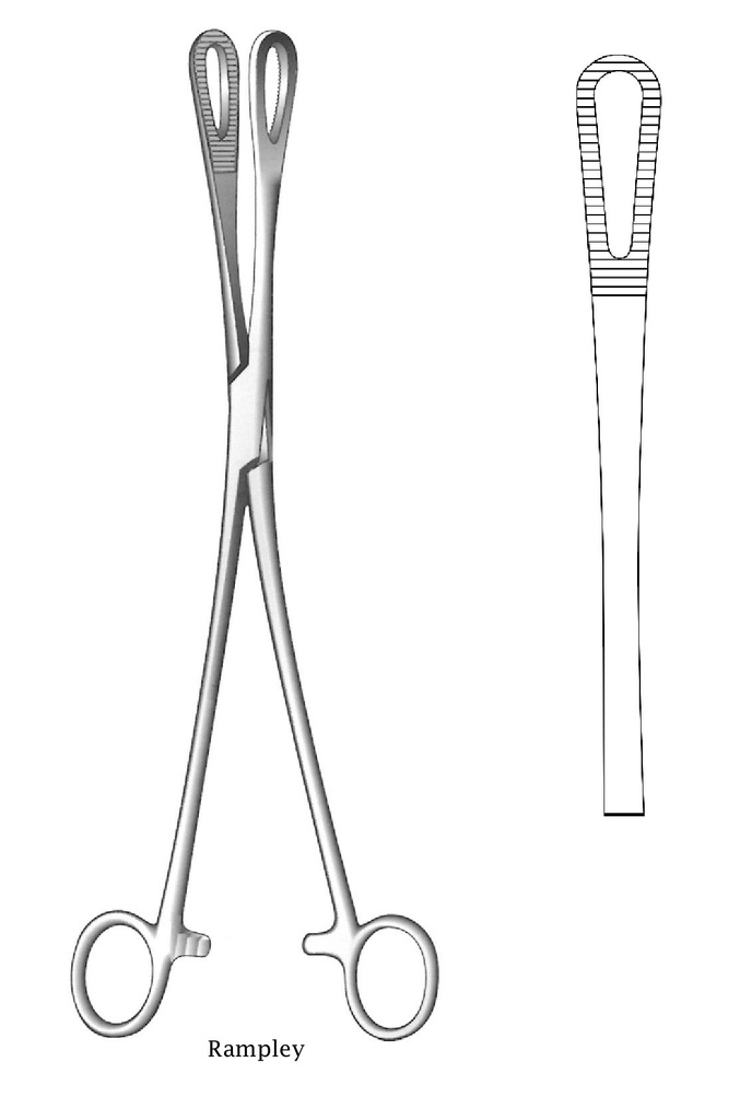 Pinza de sujeción de esponja Rampley, cierre de rosca - longitud = 25 cm / 10"