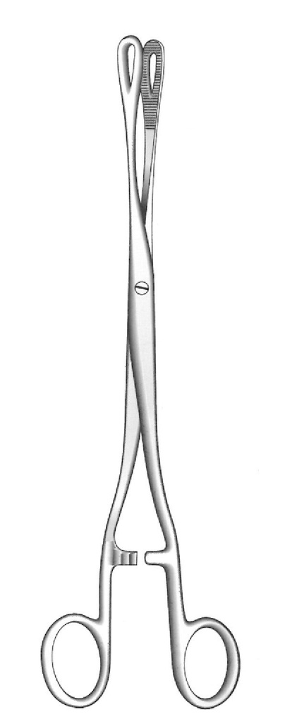 Ramppley sponge clamping clamp - length = 18 cm / 7 "