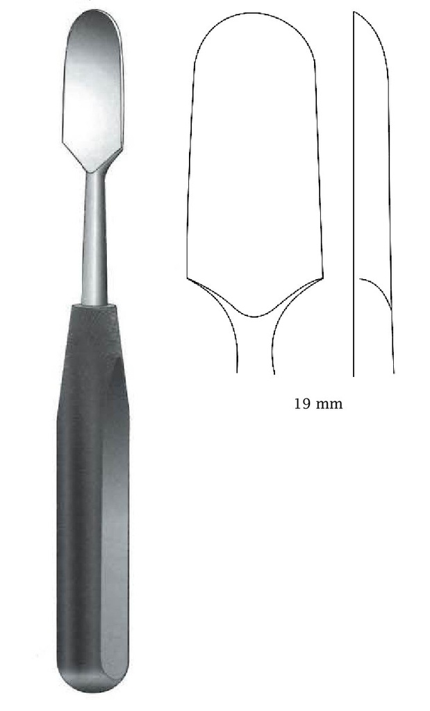 Periosteum elevator with ferrozell handle, 19 mm wide