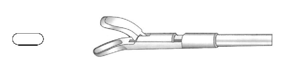 Pinza para biopsia rectal, figura 1, hacia abajo - longitud del eje = 26 cm / 10&quot;