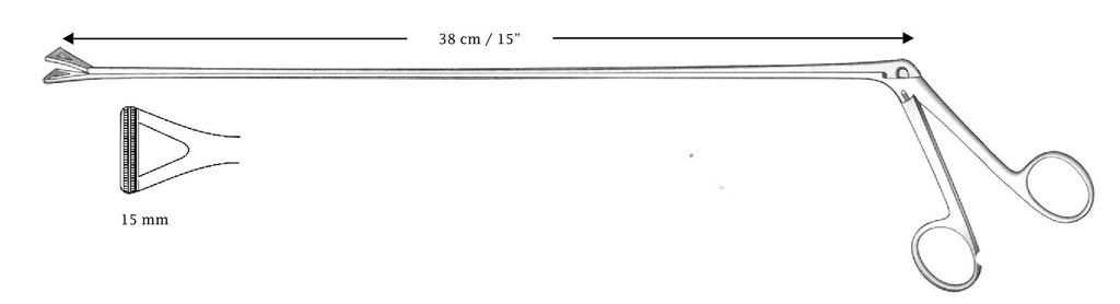 Rectal biopsy sample clamp, axis length = 38 cm / 15 "