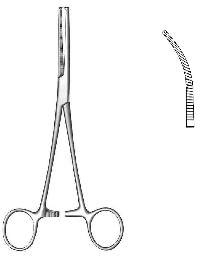 Rochester -chsner artery clamp, delicate, curve-length = 14 cm / 5-1 / 2 "