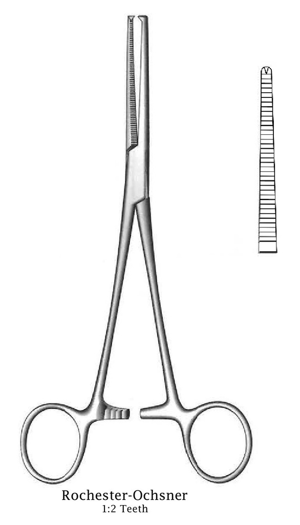 Pinza para arteria de Rochester-Ochsner, recta - longitud = 26 cm / 10-1/2"