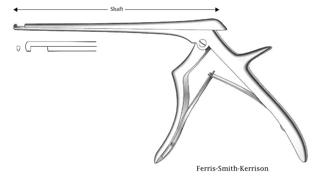 Pinza para disco intervertebral Ferris-Smith-Kerrison, corte hacia abajo, ancho de punta = 1 mm - longitud del eje = 15 cm