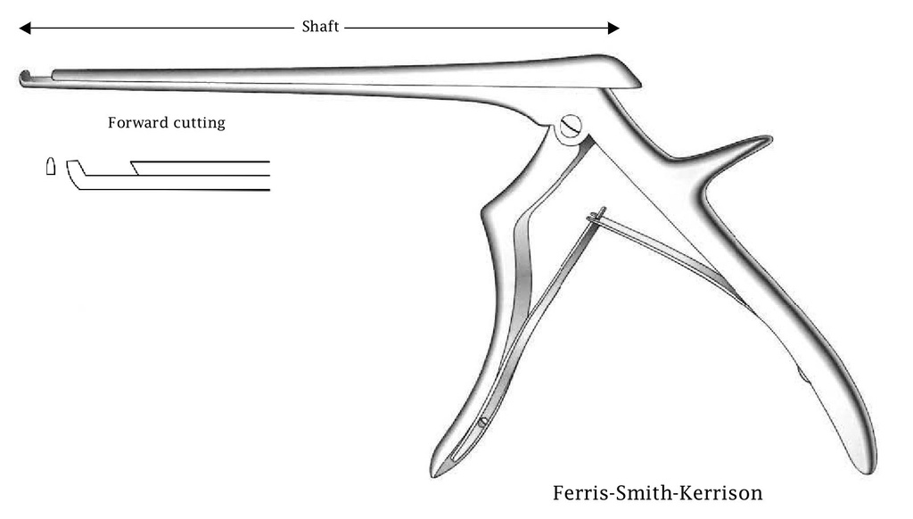 Ferris-Smith-Kerrison intervertebral disc clamp, forward cut, tip width = 1 mm-Axis length = 15 cm