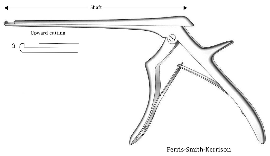 Ferris-Smith-Kerrison intervertebral disc clamp, cutting cut, tip width = 1 mm-Axis length = 15 cm