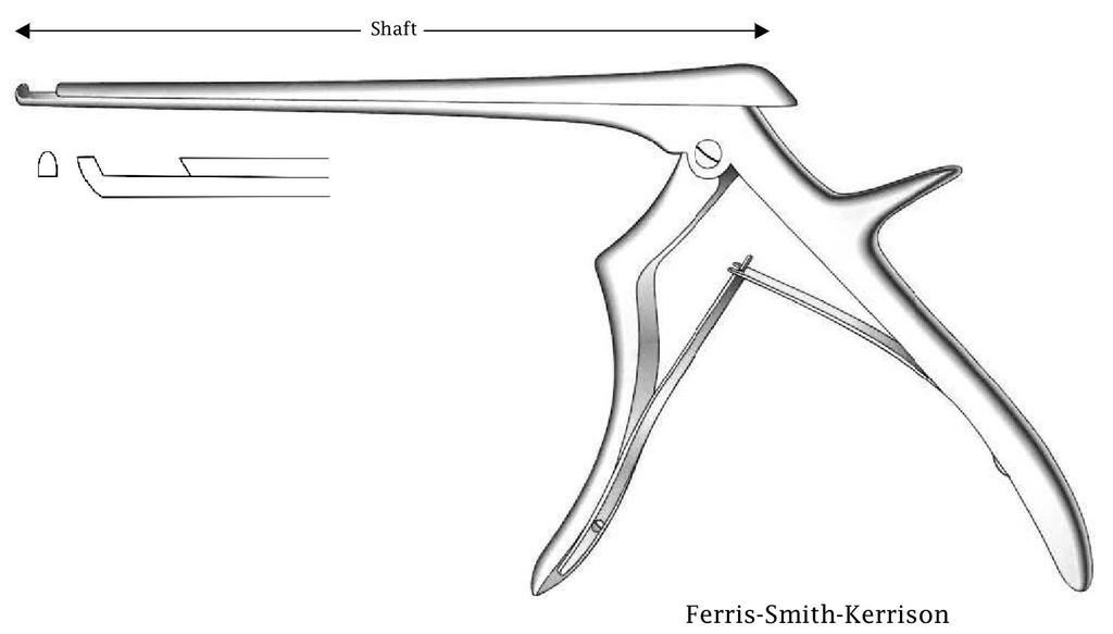 Ferris-Smith-Kerrison intervertebral disc clamp, forward cut, tip width = 2 mm-Axis length = 15 cm