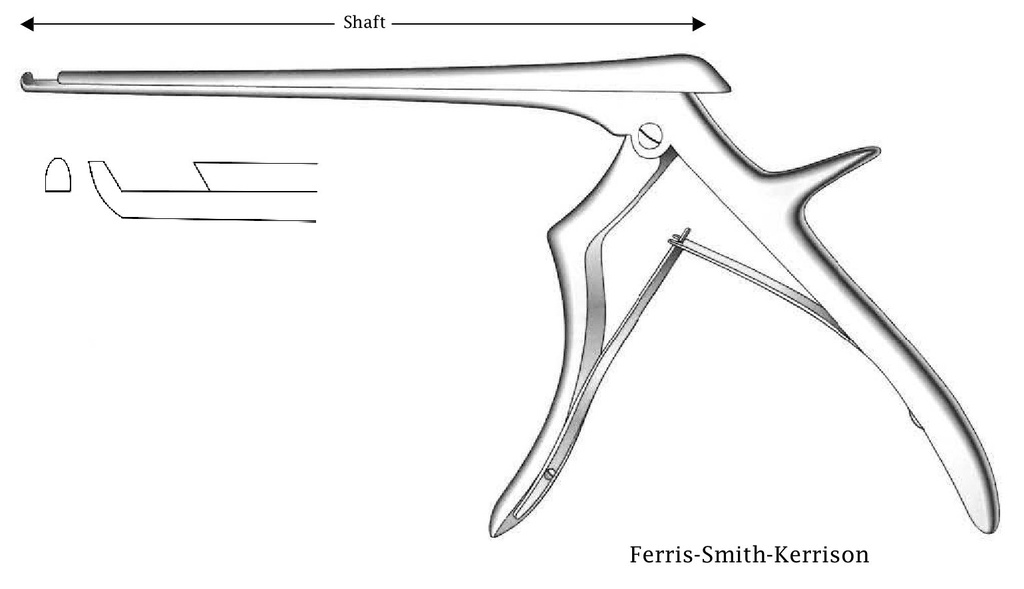 Pinza para disco intervertebral Ferris-Smith-Kerrison, corte hacia adelante, ancho de punta = 3 mm - longitud del eje = 15 cm