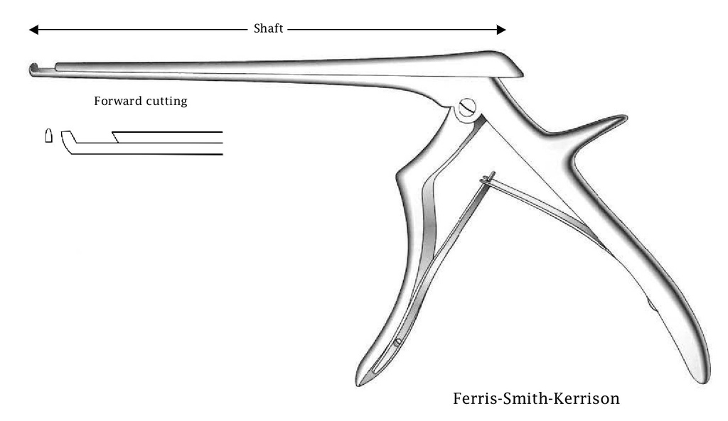 Ferris-Smith-Kerrison intervertebral disc clamp, forward cut, tip width = 1 mm-Axis length = 18 cm