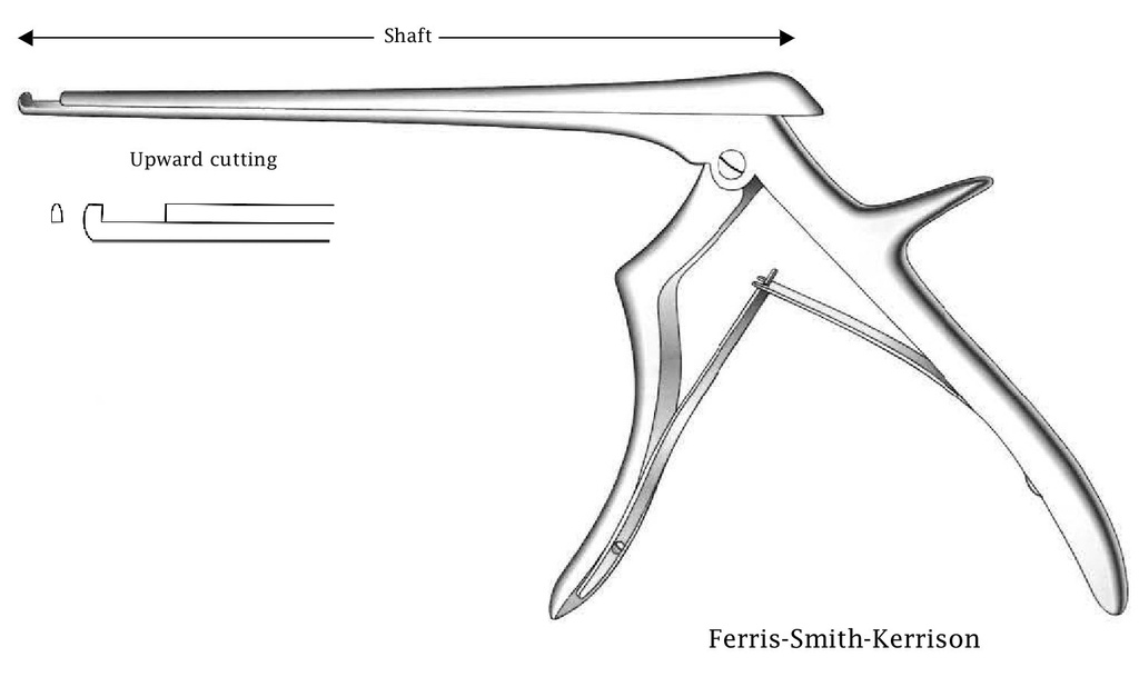 Ferris-Smith-Kerrison intervertebral disc clamp, cutting cut, tip width = 1 mm-Axis length = 18 cm