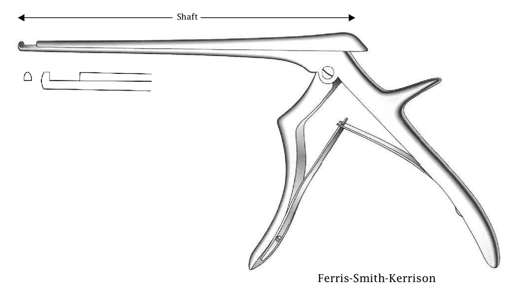 Pinza para disco intervertebral Ferris-Smith-Kerrison - longitud del eje = 18 cm, corte hacia arriba, ancho de punta = 2 mm