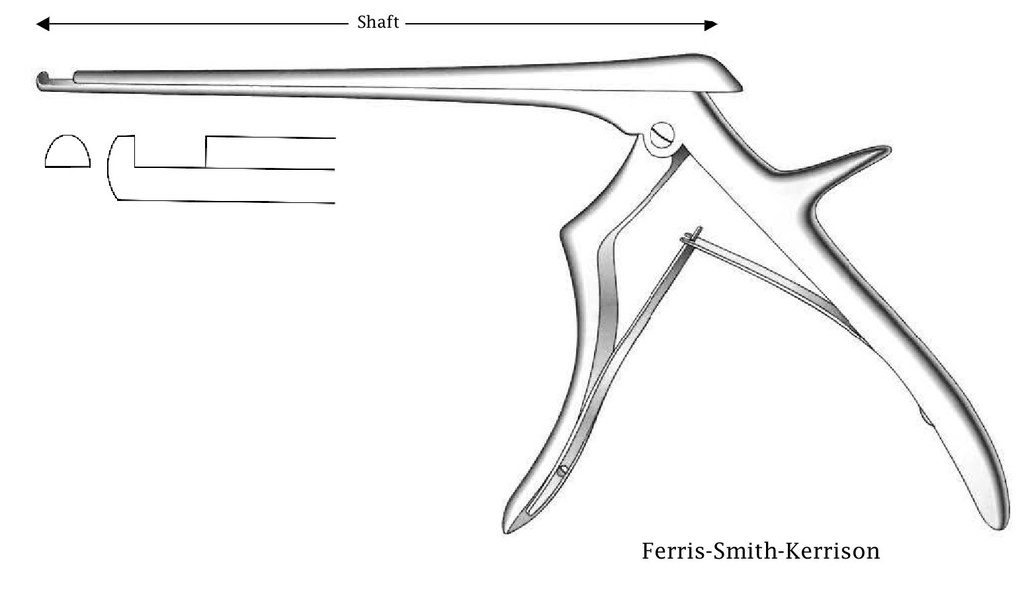 Pinza para disco intervertebral Ferris-Smith-Kerrison, corte hacia arriba, ancho de punta = 6 mm - longitud del eje = 18 cm