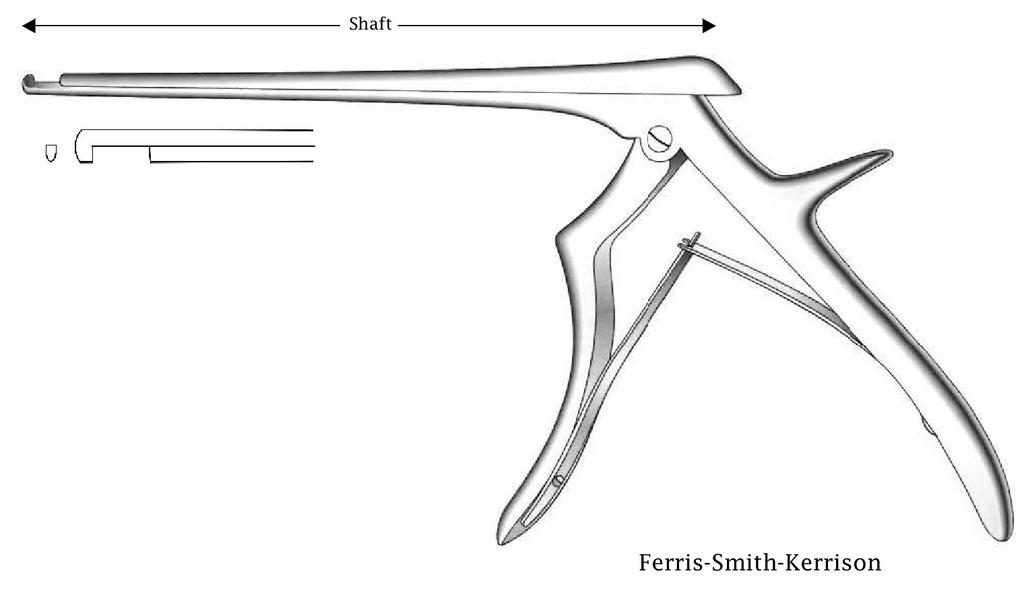 Pinza para disco intervertebral Ferris-Smith-Kerrison, corte hacia abajo, ancho de punta = 1 mm - longitud del eje = 20 cm