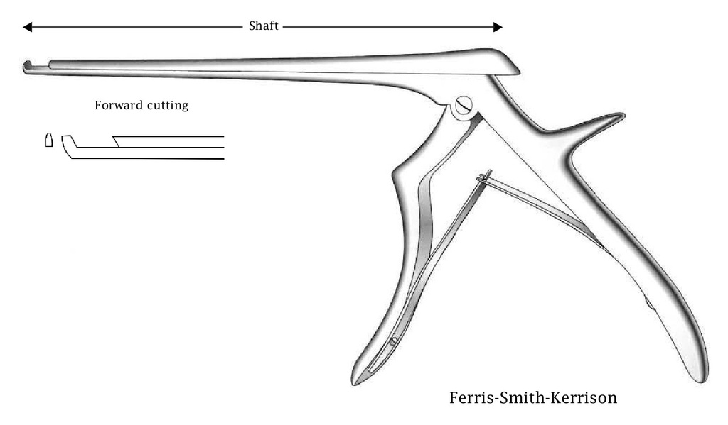 Ferris-Smith-Kerrison intervertebral disc clamp, forward cut, tip width = 1 mm-Axis length = 20 cm