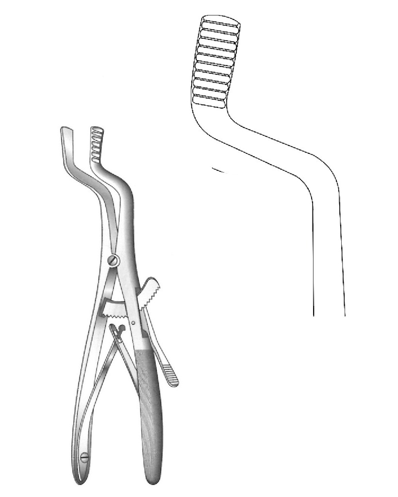 Roser-Konig Mouth Gag - length = 19 cm / 7-1/2"