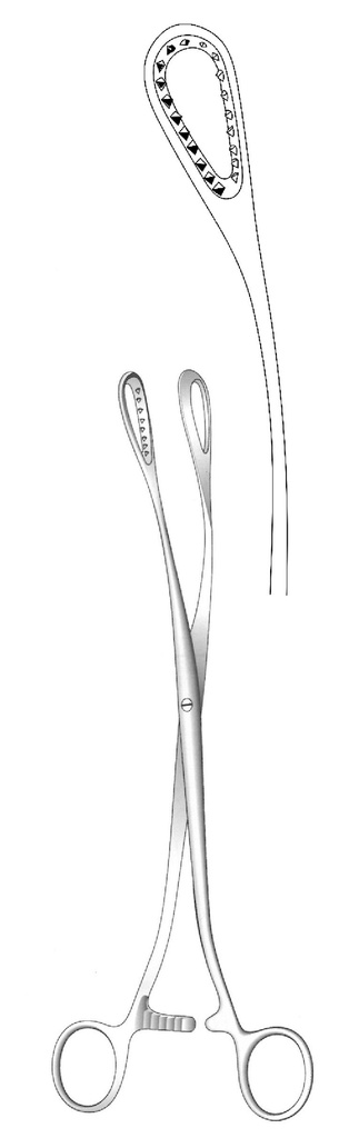 Pinza para placenta y óvulos Saenger, curva