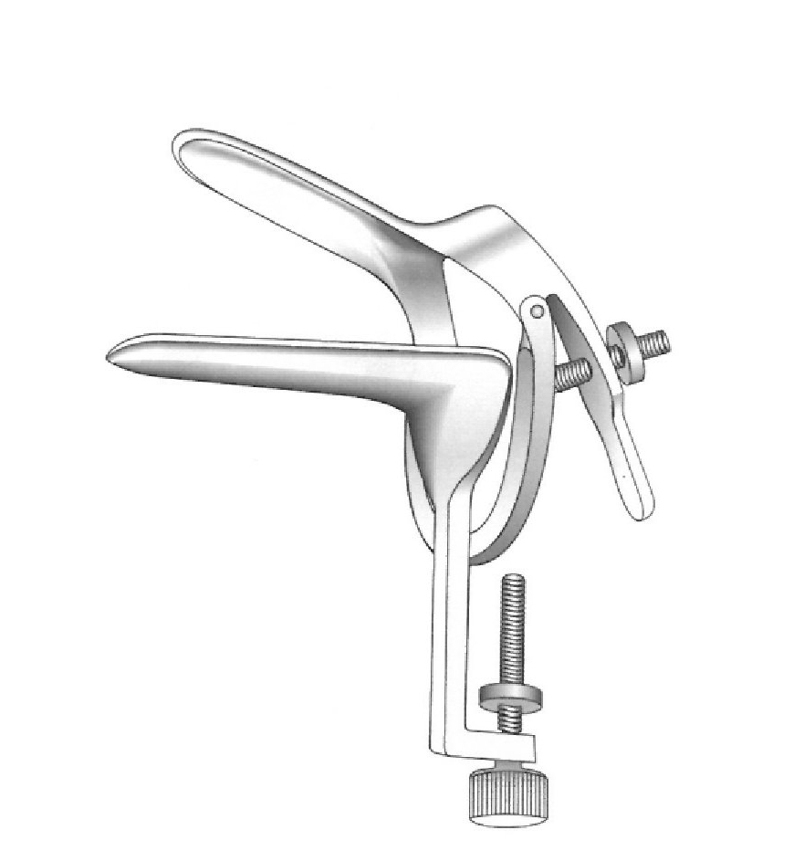 Sakurai vaginal spicle.