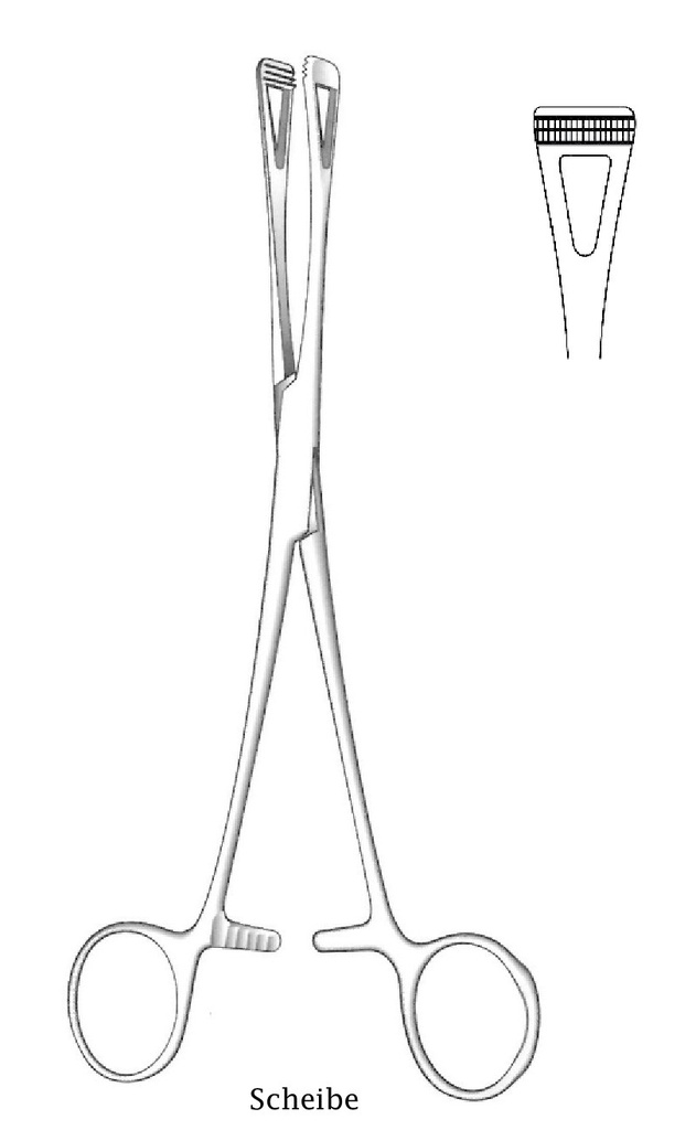 Pinza de sujeción de órganos Scheibe, estrecho
