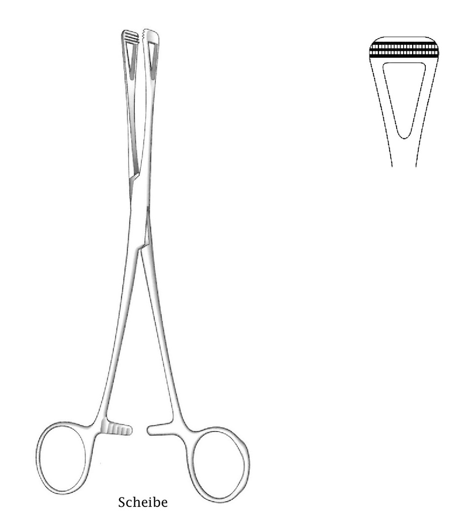 Scheibe Organ Holding Forceps, Medium