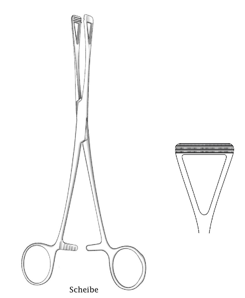 Scheibe Organ Holding Forceps, wide