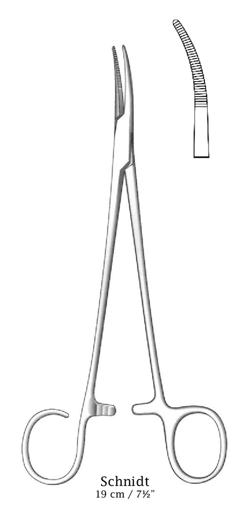 Schmidt artery clamp, an open ring, slightly curved