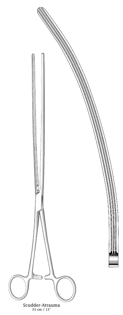 Pinza intestinal Scudder, curva