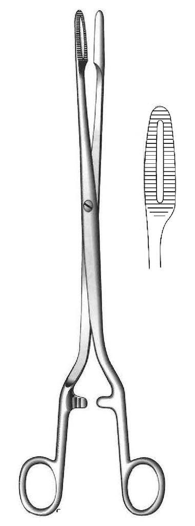 Pinza para esponja Sims-Maier, recta
