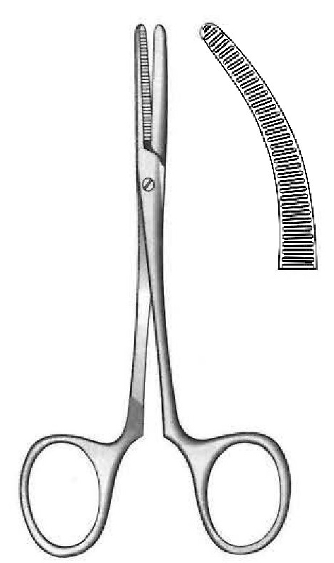 Pinza para arteria Spencer Wells con tornillo, curva - longitud = 15 cm / 6"