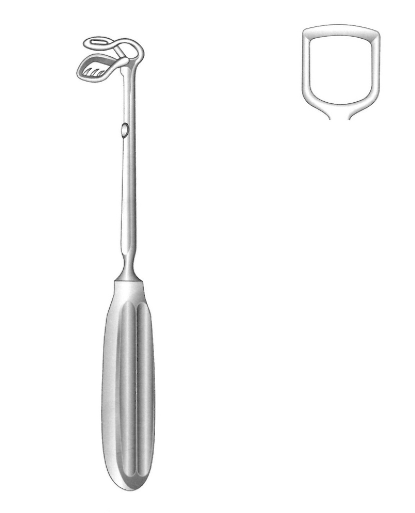 Cureta para adenoides de St. Clair-Thompson, ancho = 13 mm