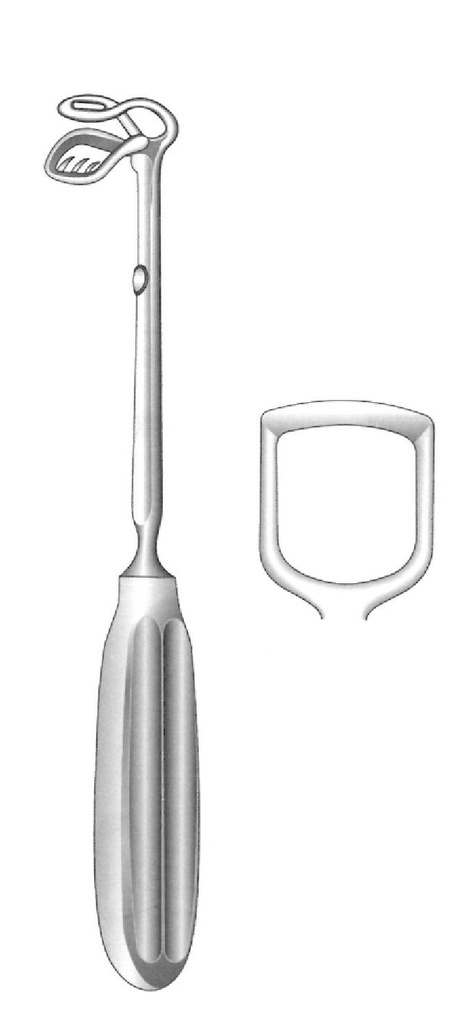 Cureta para adenoides de St. Clair-Thompson, ancho = 15 mm