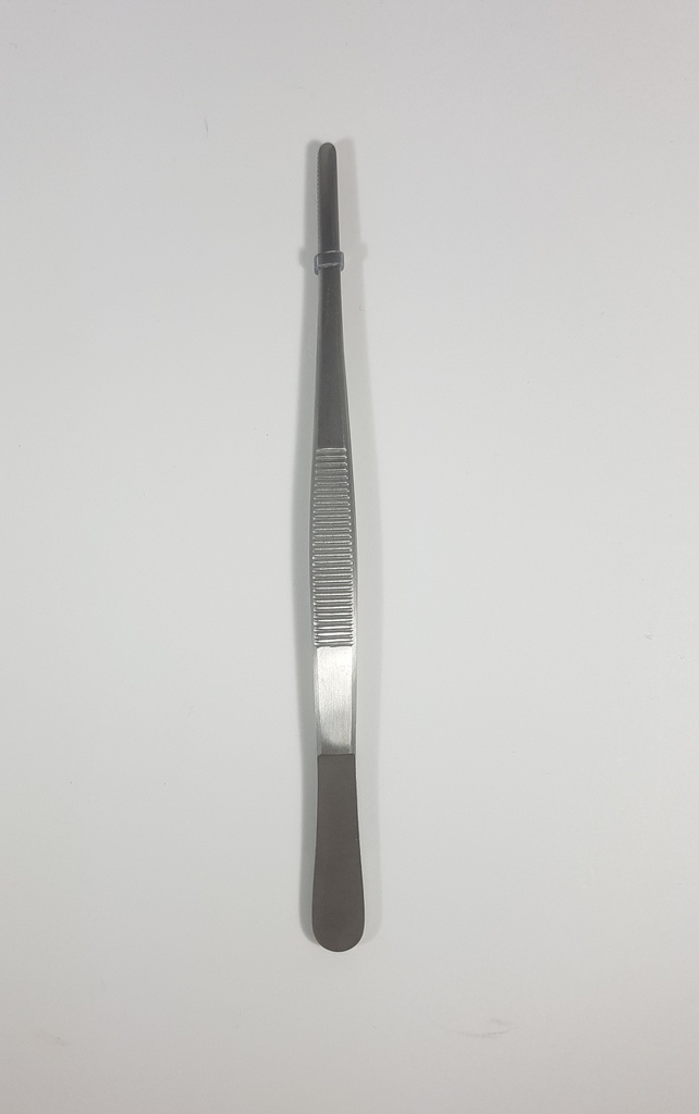 Pinza para disección modelo estándar - longitud = 16 cm / 6-1/4"