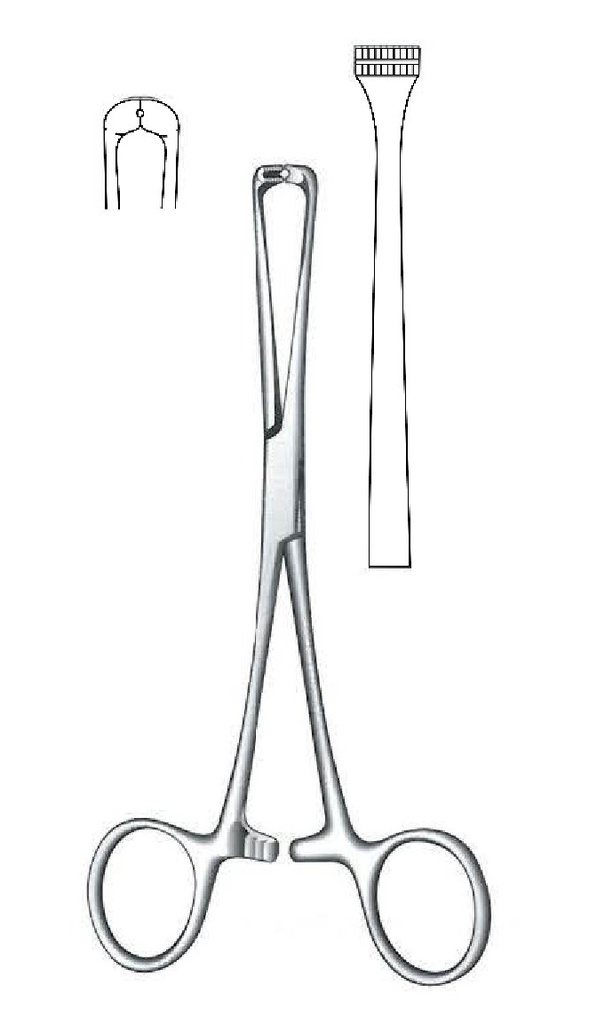 Pinza de sujeción para tendones Steinmann