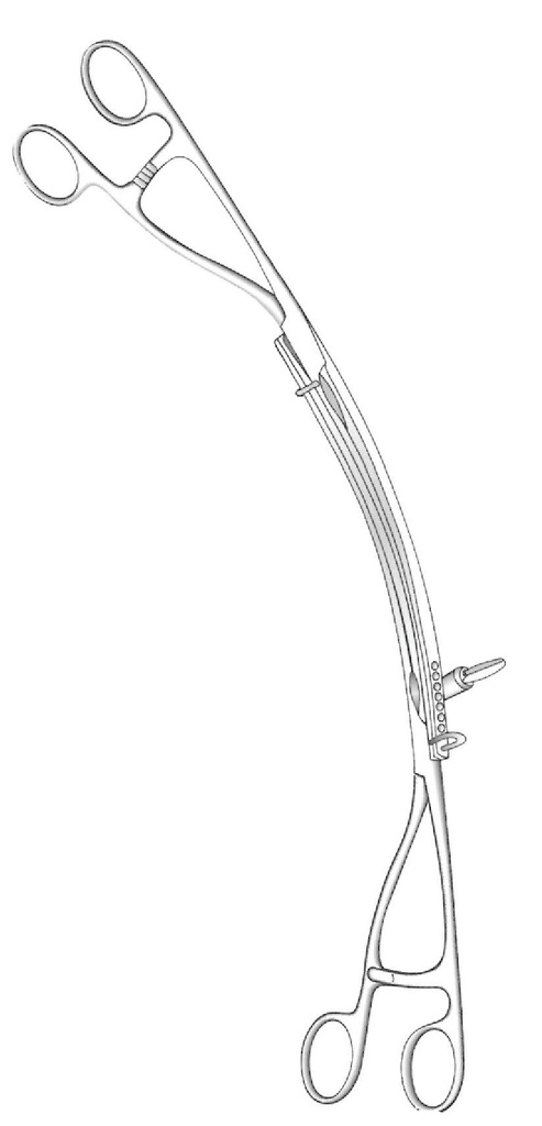 Pinza intestinal Lane, figura 1