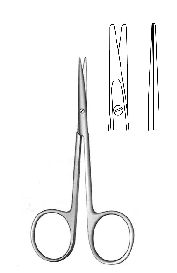 Scissors for strabismus, straight