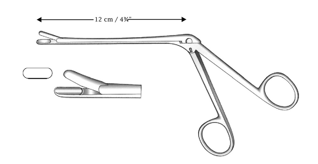 Pinza para pólipo y tabique Takahashi, recta