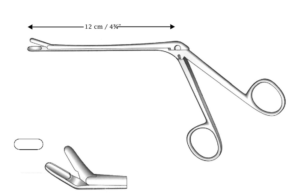 Polypic clamp and takahashi partition, up