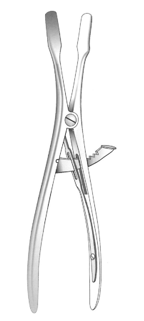 Terrier Opener, straight