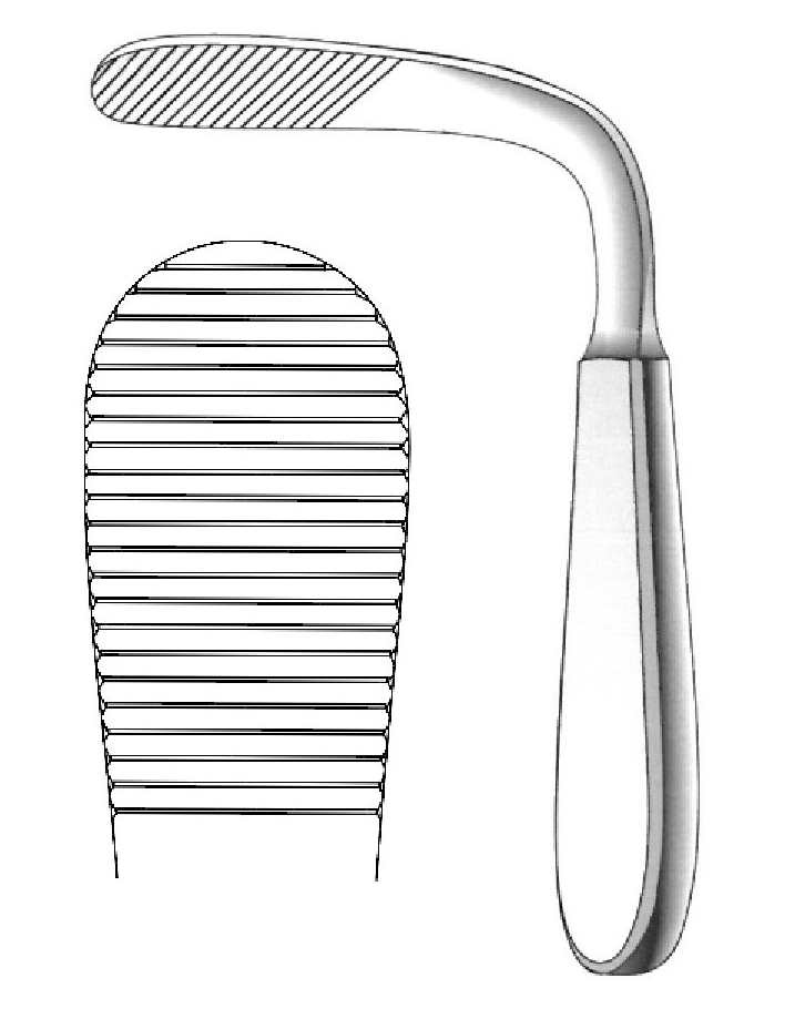 Tobold Cheek and Tongue Depressor - length = 14 cm / 5-1/2"