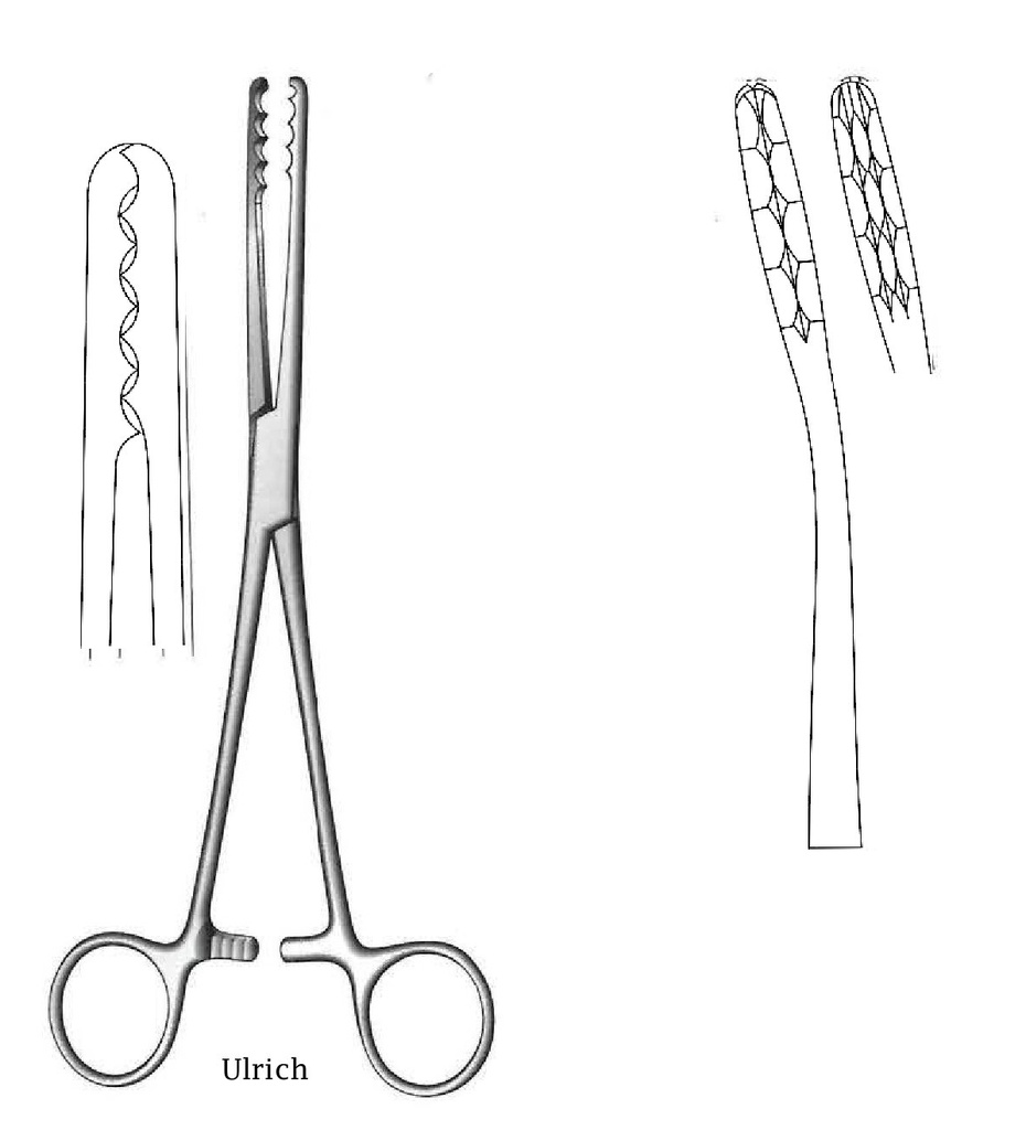 Pinza para vendaje Ulrich, curva - longitud = 22 cm / 8-3/4"