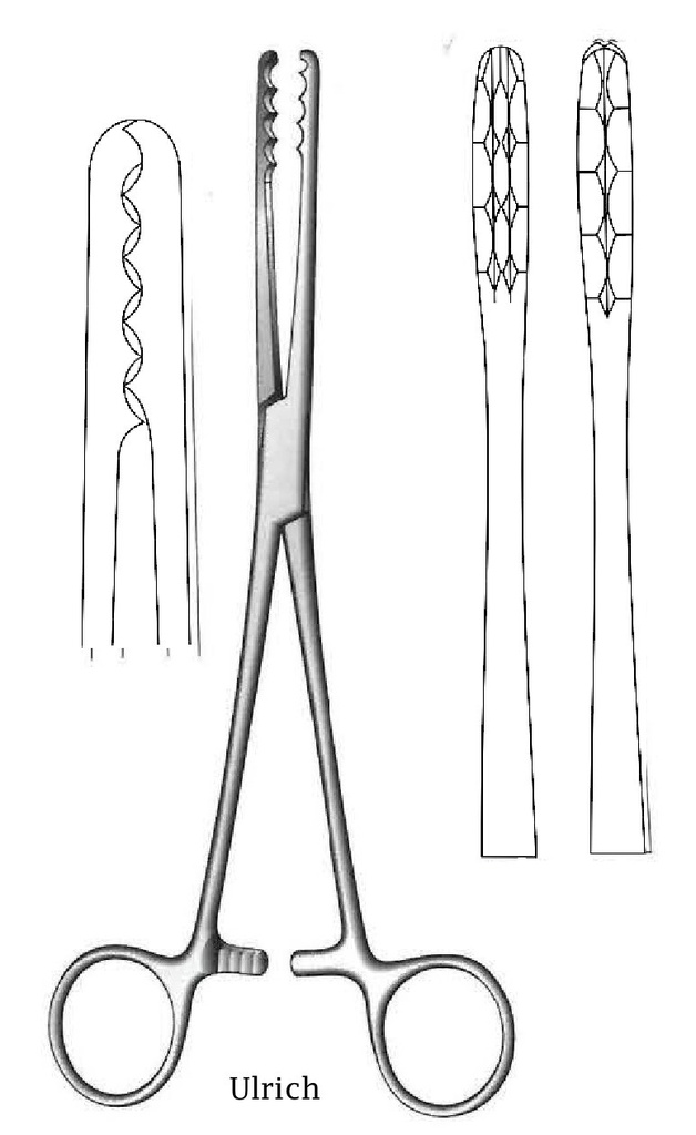 Pinza para vendaje Ulrich, recta - longitud = 26.5 cm / 10-1/2"