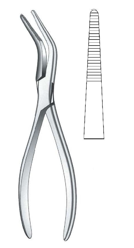 Van Buren Bone Holding Forceps
