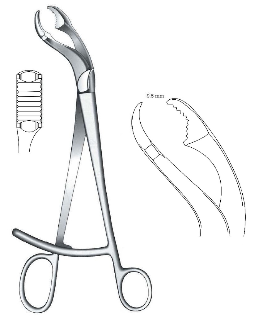 Succession clamp for verbrugge bone - length = 25 cm / 10 "