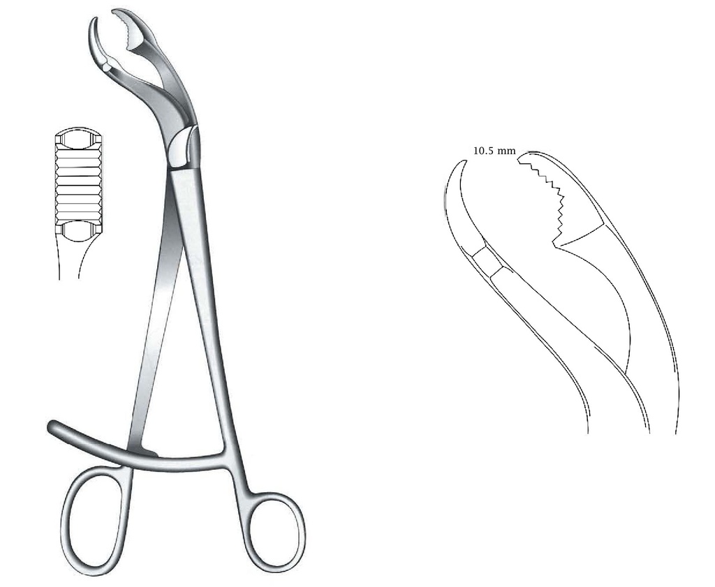 Pinza de sujeción para hueso Verbrugge, ancho = 10.5 mm