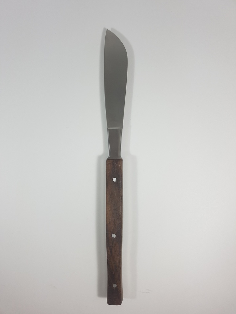 Virchow cartilage scalpel